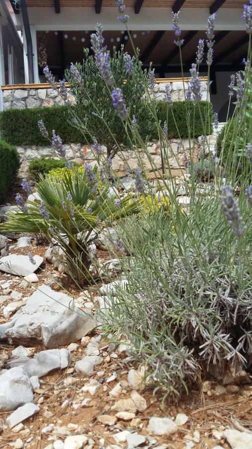 Apartment Behin Martinscica (Cres) Exterior foto